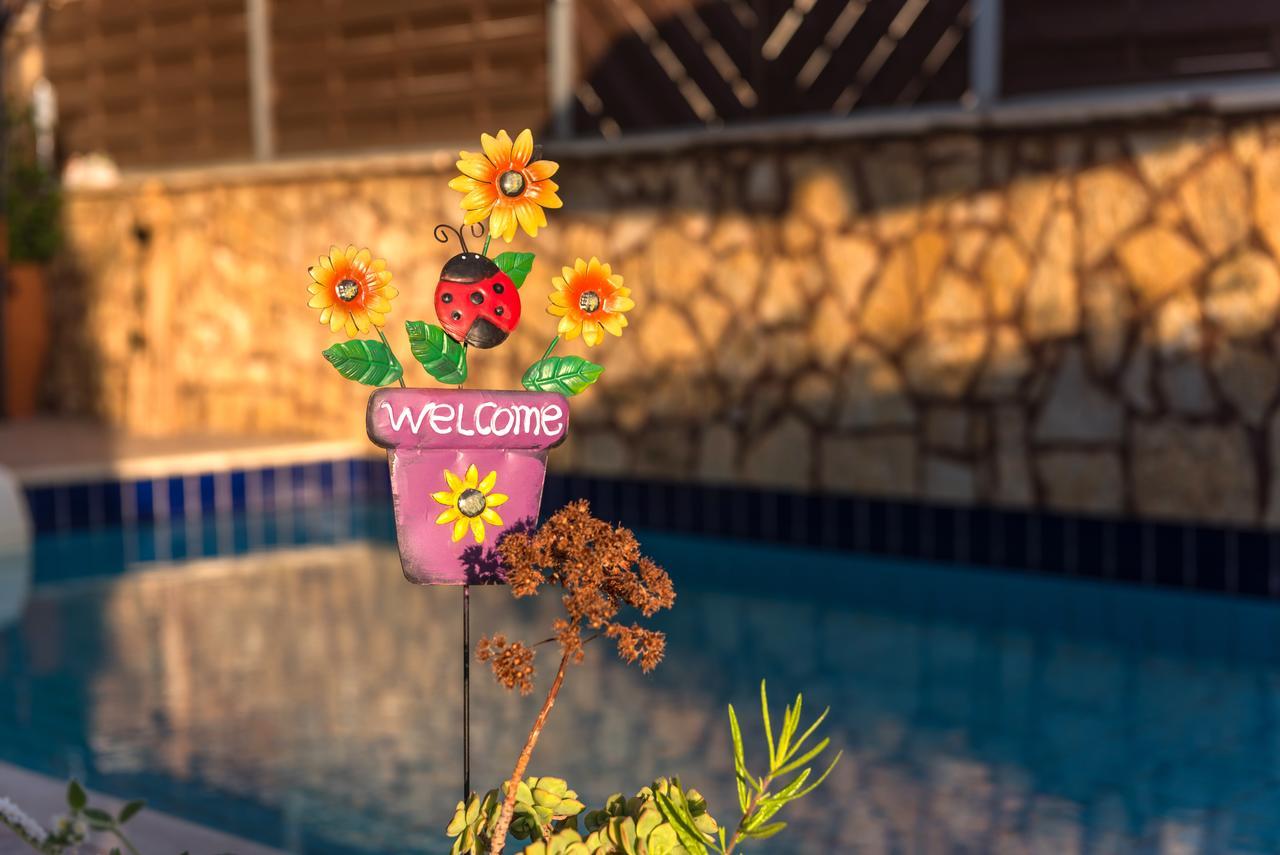 Villa Apollon II Sfakaki Ngoại thất bức ảnh